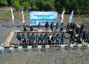 Peringati Hari Maritim Nasional 2025, Pelindo Regional 4 Kick Off Rehabilitasi Mangrove di Bone